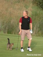 コースには野良猫がいた